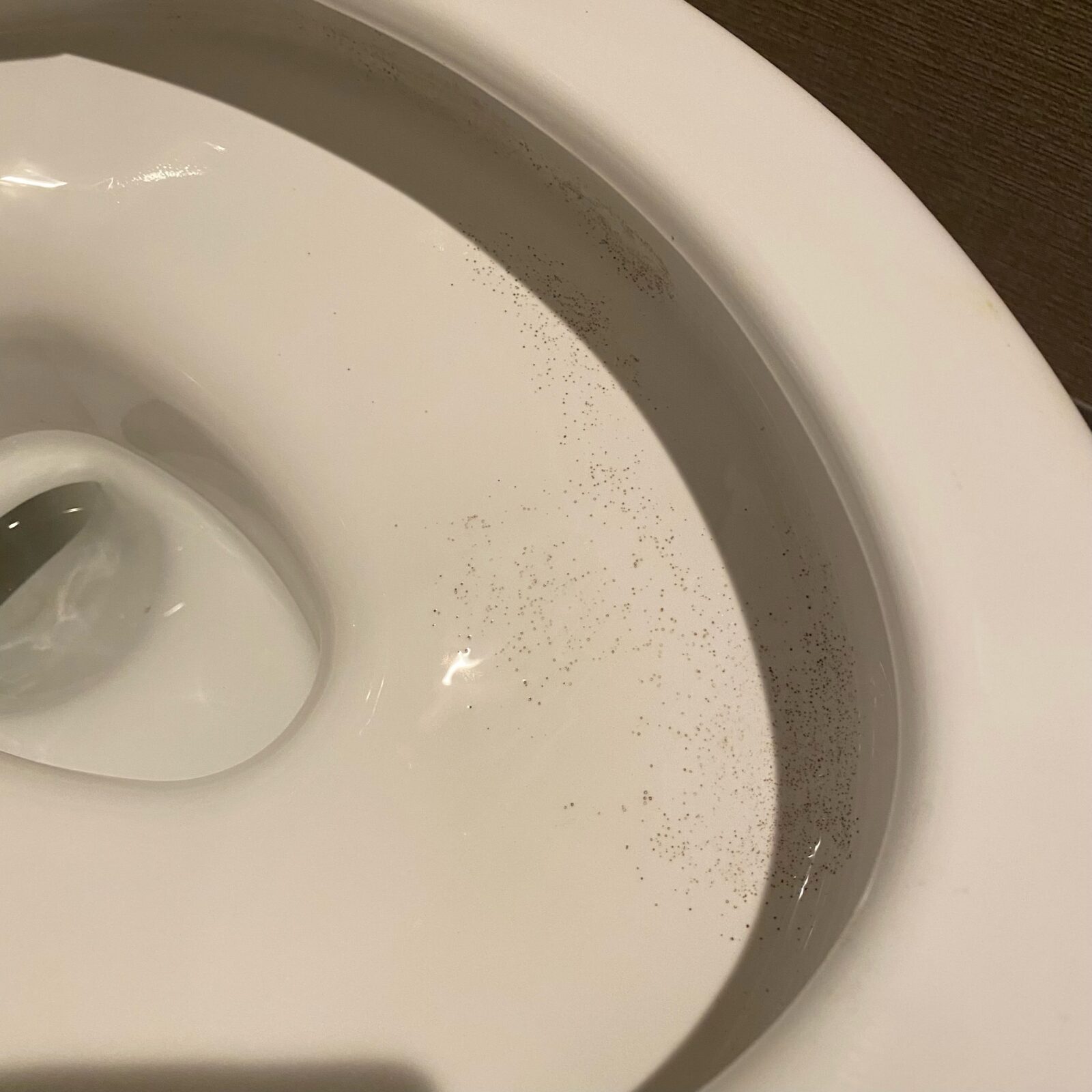 トイレ便器の黒ずみ（黒い点々）の原因は何？お掃除には「サンポール」が大活躍